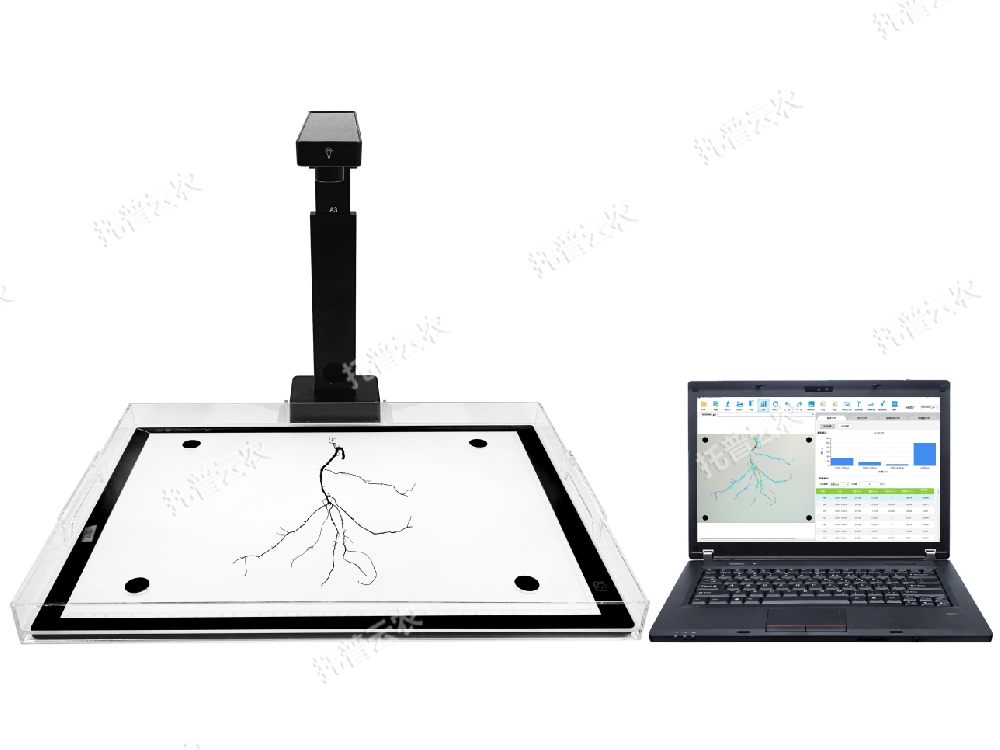 植物根系分析系統(tǒng)